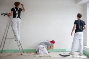 Villa Painting Service in Meadows